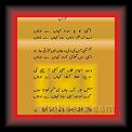 Wasim Mumtaz 01 * 22.03.2008 * 554 x 883 * (51KB)